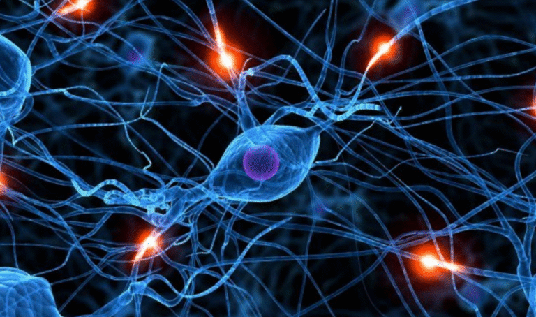 Dia Mundial do Cérebro 2025 – Saúde Cerebral e Prevenção de Doenças Neurológicas
