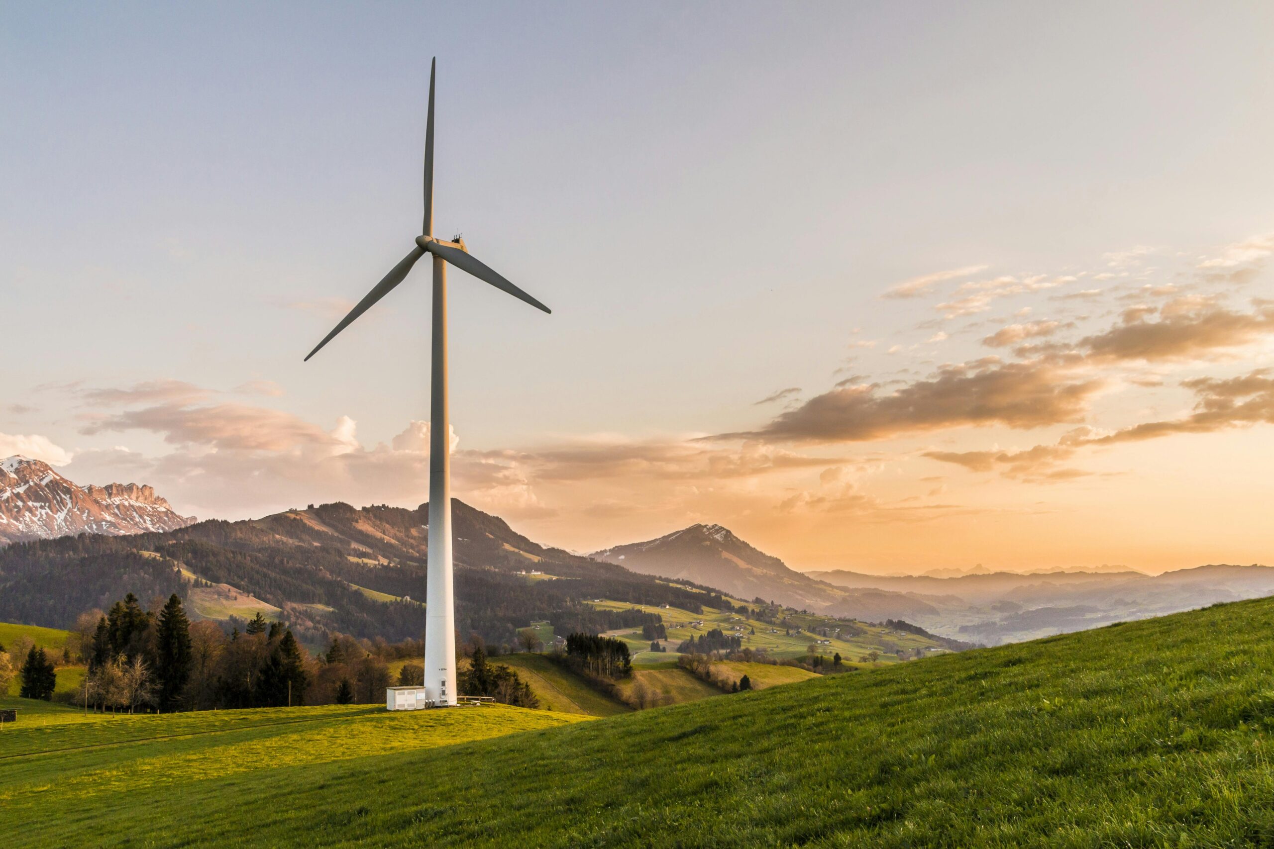 Turbina eólica num campo verde sob céu azul, representando a produção de energia limpa
