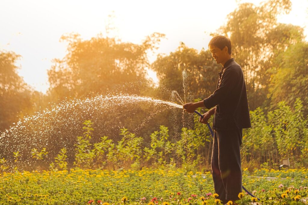 vietnam, man, gardening, watering plants, everyday life, portrait, nature, vietnamese, gardening, gardening, gardening, gardening, gardening