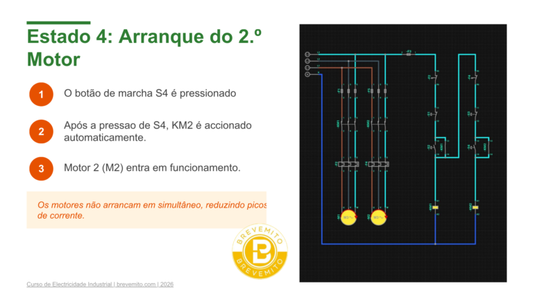 Circuitos Eléctricos Básicos