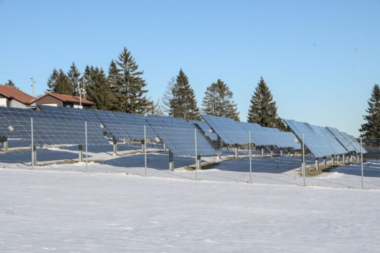 Solar panels in a snowy field with evergreen trees in the background.